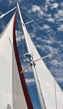 Antares Mast by Selden