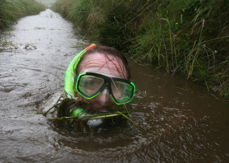 diver diver