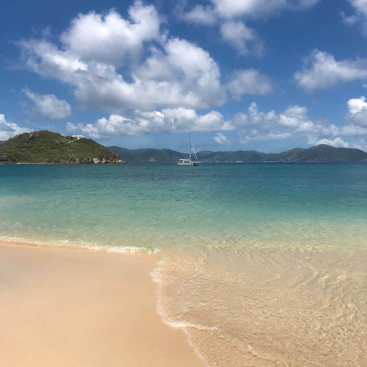 Photo of Seahorse on its Journey through the British Virgin Islands