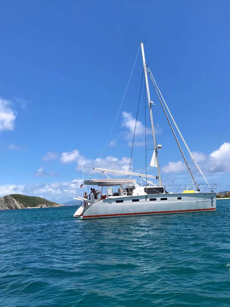 Seahorse makes its journey through the British Virgin Islands