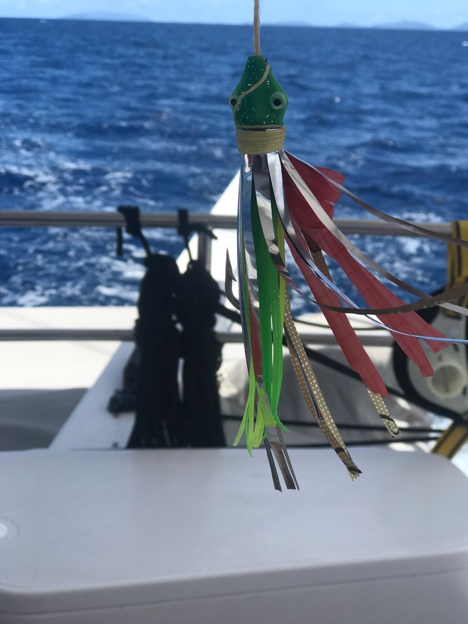 Princess Fiona star bait aboard Seahorse